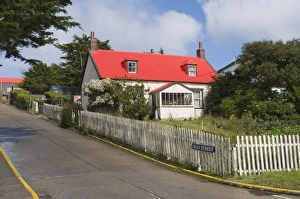 Images Dated 3rd March 2009: Port Stanley, Falkland Islands, South America