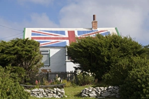 Images Dated 3rd March 2009: Port Stanley, Falkland Islands, South America