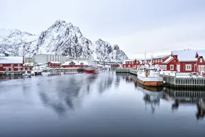 Svolvaer Prints: Port of Svolvaer with its dark red houses on stilts typical of each port in the Lofoten Islands
