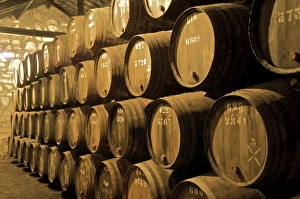 Images Dated 5th October 2009: Port wine maturing in barrels in wine cellars, Vila Nova de Gaia, Porto, Portugal, Europe