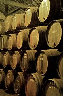 Images Dated 5th October 2009: Port wine maturing in barrels in wine cellars, Vila Nova de Gaia, Porto, Portugal, Europe