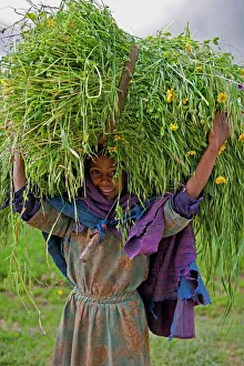 Portait of local girl carrying a large bundle of wheat and yellow Meskel flowers Portait of local girl carrying a large bundle of wheat and yellow Meskel flowers