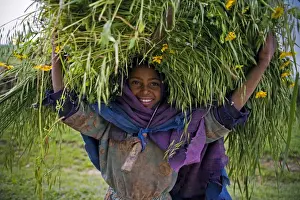 Portait of local girl carrying a large bundle of wheat and yellow Meskel flowers