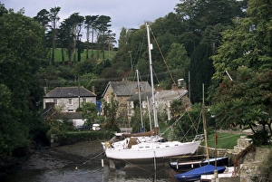 Porth Navas on creek of Helford River, Cornwall, England, United Kingdom, Europe