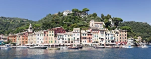Portofino Prints: Portofino, Riviera di Levante, Province Genoa, Liguria, Italy, Europe