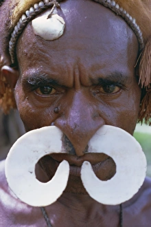 Pacific Islander Prints: Portrait of an Asmat man with nose ornament