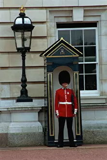 Buckingham Palace Collection: Portrait of a guard in a bearskin busby standing in front of a sentry box outside Buckingham Palace