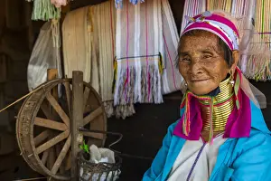 Portrait of a Padaung woman, (Giraffe woman) (Long-necked woman)
