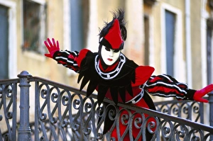 Disguise Prints: Portrait of a person dressed in mask and costume taking