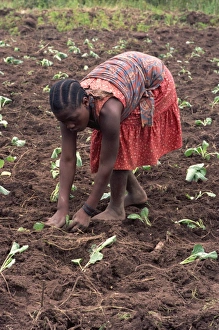 Tee Nager Prints: Portrait of a young woman bending down, working in field, planting, Tanzania