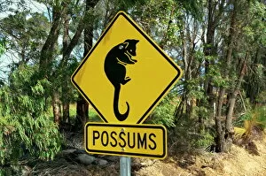 Rural Road Collection: Possums road sign near Dunsborough, Western Australia, Australia, Pacific