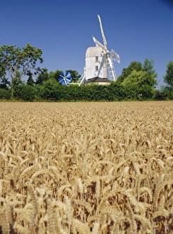 Grain Prints: The Post Mill, Saxtead Green, Suffolk, England, UK, Europe