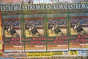 Bull Fighting Prints: Posters, Salamanca