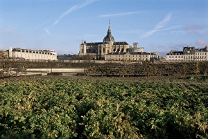 Potager du Roi (Kings kitchen garden), Versailles and St. Louis church