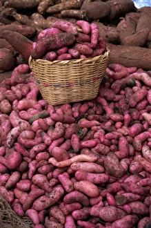 Pink Prints: Potatoes for sale at market, Ipiales, Colombia, South America