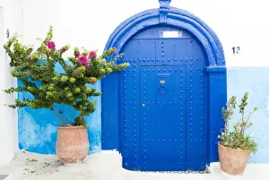 Rabat Prints: Pots and plants against blue and white wall in Kasbah des Oudaya (Kasbah of the Udayas)