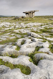 Clare Prints: Poulnabrone Dolmen Portal Megalithic Tomb