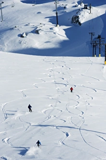 Images Dated 31st March 2009: Powder skiing at Whistler mountain resort, venue of the 2010 Winter Olympic Games