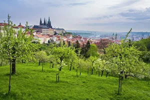 Bohemia Prints: Prague Castle and Patrin Gardens in spring