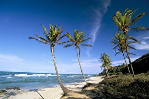 Brazil Prints: Praia do Amor, Pipa (Natal), Rio Grande do Norte state, Brazil, South America