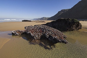 Praia do Castelejo