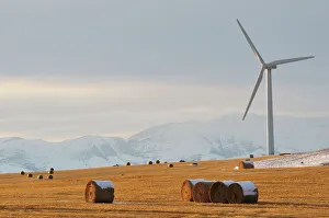 Power In Nature Prints: Prairie near Pincher Creek, Alberta, Canada, North America