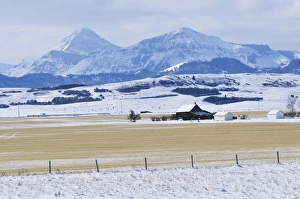 Images Dated 11th October 2009: Prairie and Rocky Mountains, near Pincher Creek, Alberta, Canada, North America