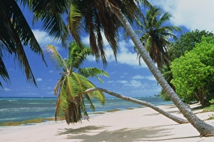 Praslin Prints: Praslin beach