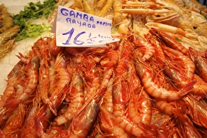 Prawns in Mercado Central (Central Market), Valencia, Spain, Europe