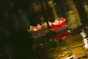 Li Jiang Prints: Prayer candles floating in river at night, Lijiang old town, Yunnan, China, Asia