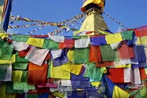 Images Dated 30th April 2011: Prayer flags in front of Boudha (Bodhnath) (Boudhanath) Tibetan stupa in Kathmandu
