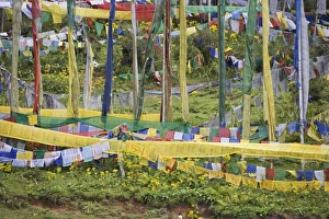 Prayer flags, Druk Wangyal Chorten, Bhutan, Asia