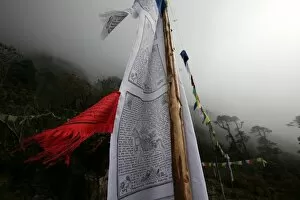 Wooden Post Gallery: Prayer flags, Khumbu region, Nepal, Asia