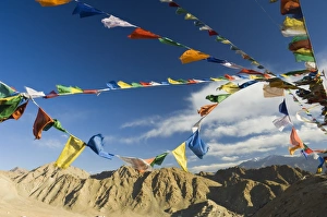 Jolly Prints: Prayer flags on the Peak of Victory