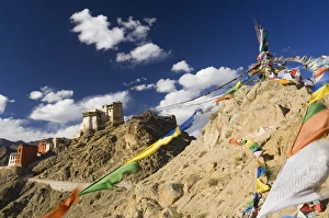 Prayer flags on the Peak of Victory and Namgyal Tsemo gompa Prayer flags on the Peak of Victory and Namgyal Tsemo gompa
