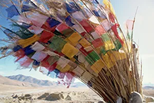 Vibrant Colour Prints: Prayer flags, Tibet, China, Asia