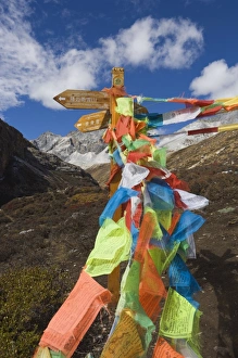 Counseling Prints: Prayer flags, Yading Nature Reserve, Sichuan Province, China, Asia
