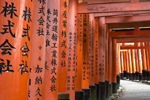 Kyoto Gallery: Prayers written in Japanese on the red wooden Torii Gates at Fushimi Inari Shrine