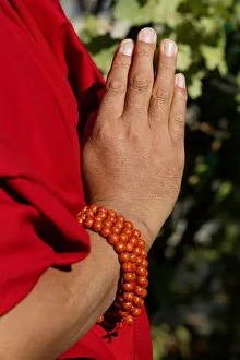 Paris Prints: Praying hands, Paris, France, Europe