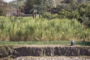 Images Dated 27th February 2007: Praying, life along the Nile, Egypt, North Africa, Africa