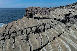 Precambrian fossils, Mistaken Point, UNESCO World Heritage Site, Avalon Peninsula, Newfoundland, Canada, North America