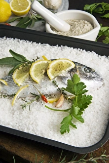 Fishes Prints: Preparing gilthead bream in salt coating