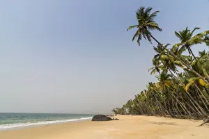 Arecaceae Prints: Pretty Bukeh Beach, Sierra Leone, West Africa, Africa