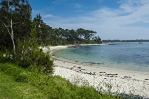 Images Dated 6th November 2008: Pretty white sand beach at Jarvis Bay, New South Wales, Australia, Pacific