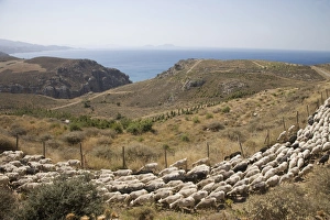 Preveli Prints: Preveli, Crete