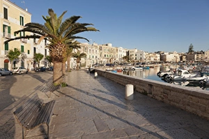 Paving Stone Prints: Promenade at the harbour, old town, Trani, Le Murge, Barletta-Andria-Trani district