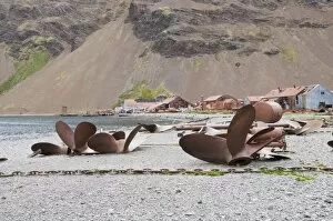 Propellers in front of old whaling station at Stromness Bay, South Georgia