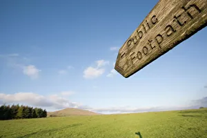 Text Prints: Public Footpath sign indicating right of way, Lancashire, England, United Kingdom, Europe