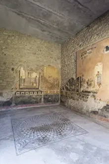 Mosaics Prints: Public sitting room mosaic, frescoed walls in House of Amorini Dorati (Golden Cupids)