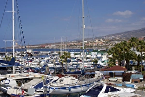 Puerto Colon, Playa de las Americas, Tenerife, Canary Islands, Spain, Atlantic, Europe